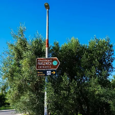 Vesna * סטאריגרד-פקלניצה