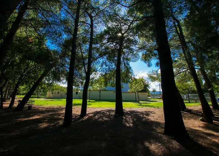 Апартаменты Vesna Стариград-Пакленица